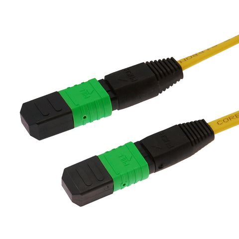 30m 9/125 Standard MTP Fiber Patch Cable Key-up to Key-down